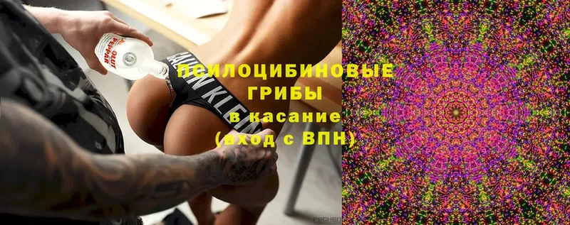 Псилоцибиновые грибы ЛСД  Кирсанов 