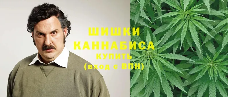 Каннабис THC 21%  гидра сайт  Кирсанов 